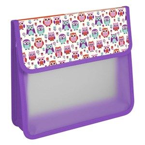 Папки и сумки для тетрадей, уроков труда