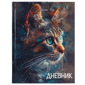 Дневники для старших классов