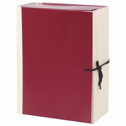 Папка для бумаг архивная А4 (225х310 мм), 120 мм, 4 завязки, бумвинил, корешок - коленкор, 123201 123201