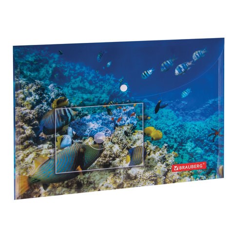 Папка-конверт с кнопкой BRAUBERG "SEA WORLD", А4, 160 мкм, до 100 листов, цветная печать, 228041 228041