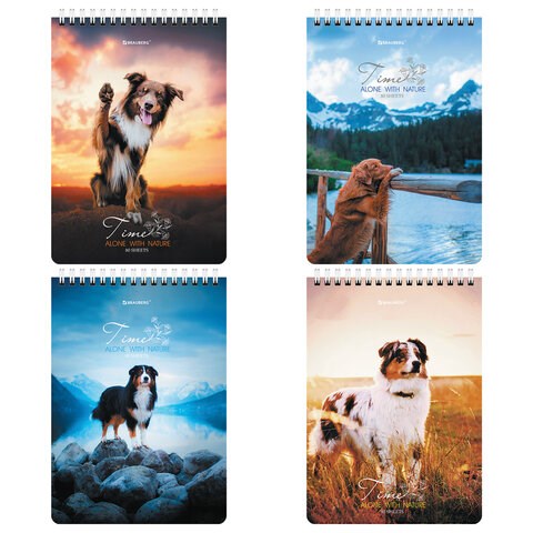 Блокнот А5 (146х206 мм), 80 л., гребень, картон, клетка, BRAUBERG, "Грациозные собаки", 114376 114376