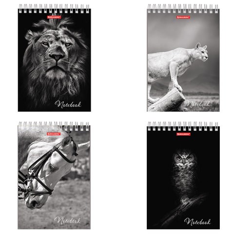 Блокнот А5 146х205 мм, 60 л., гребень, картон, жесткая подложка, клетка, BRAUBERG, "Животные", 129810 129810