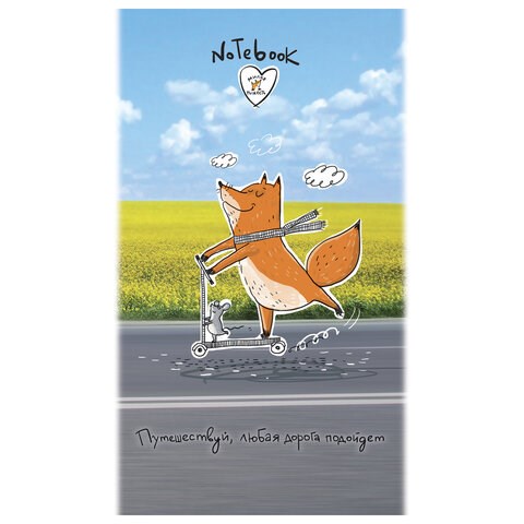 Блокнот МАЛЫЙ ФОРМАТ А6 105x164 мм, 40 л., скоба, фольга, TWIN лак, клетка, "МИКС 4" (10 видов), 099081 114340