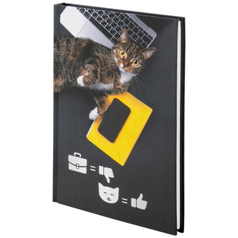 Блокнот А5 (135х206 мм), 80 л., твердый, выборочный лак, клетка, STAFF, "Милый котик", 111603 111603