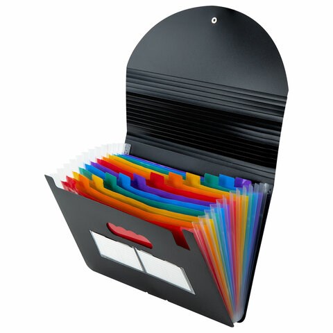 Папка-органайзер для бумаг и документов на резинке, 13 отделений, BRAUBERG DOCS, А4, черная, 271152 271152