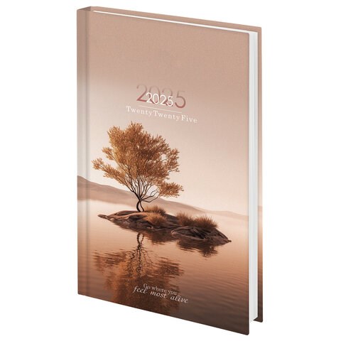 Ежедневник датированный 2025 145х215 мм, А5, STAFF, ламинированная обложка, "Relaxation", 116036 116036
