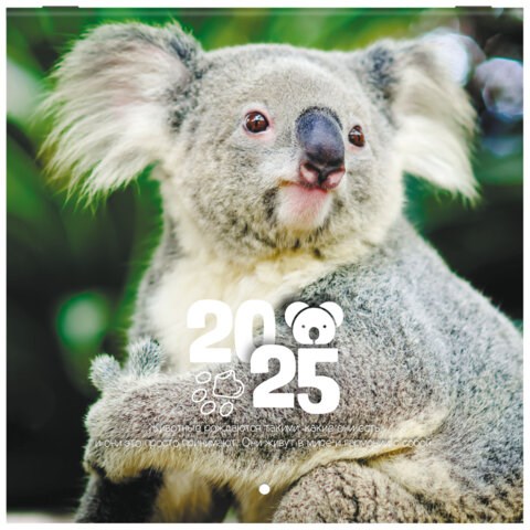 Календарь настенный перекидной на 2025 г., BRAUBERG, 12 листов, 22,5х22,5 см, МИНИ, "Дикие животные", 116179 116179