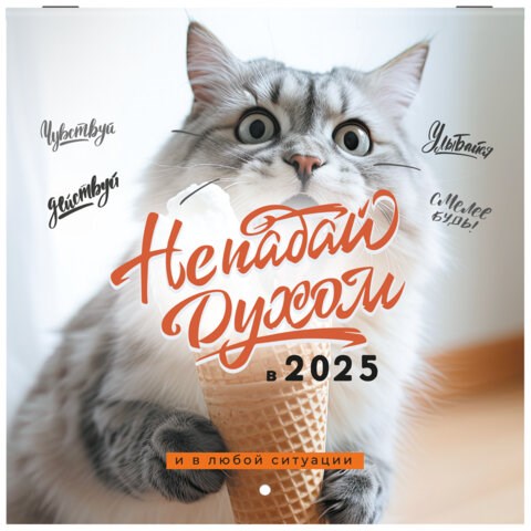 Календарь настенный перекидной на 2025 г., BRAUBERG, 12 листов, 22,5х22,5 см, МИНИ, "Не падай духом", 116178 116178