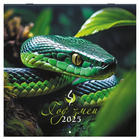 Календарь настенный перекидной на 2025 г., BRAUBERG, 12 листов, 29х29 см, "Символ года", 116169 116169