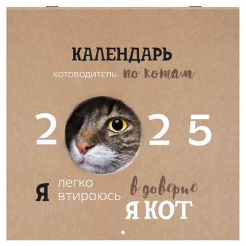 Календарь настенный перекидной на 2025 г., BRAUBERG, 12 листов, 29х29 см, "Смешные котики", 116165 116165