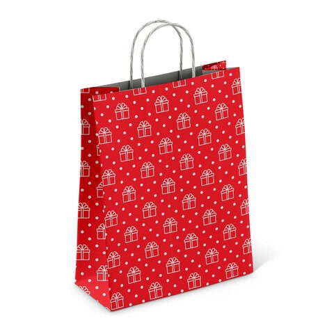 Крафт-пакет бумажный "Сюрприз" 22х12х25 см, с кручеными ручками, плотность 100 г/м2, белый, 113150 700997