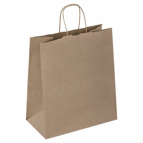 Крафт-пакет бумажный 22х12х25 см, КОМПЛЕКТ 50 шт., крученые ручки, плотность 90 г/м2, LAIMA ECO CRAFT, 609684 609684