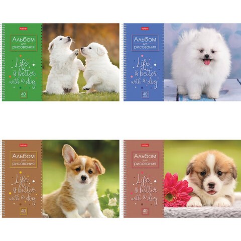 Альбом для рисования А4 40 л., спираль, обложка картон, HATBER, 205х290 мм, "Doggie-Щенки" (4 вида), 067478, 40А4Всп 113081
