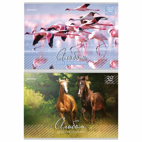 Альбом для рисования, А4, 32 листа, скоба, обложка картон, BRAUBERG, 200х283 мм, "Живая природа" (2 вида), 103683 103683