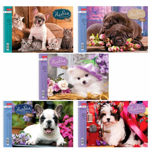 Альбом для рисования, А4, 40 листов, спираль, обложка картон, HATBER, 205х300 мм, "Любимцы" (5 видов), 004142, 40А4Всп 101505