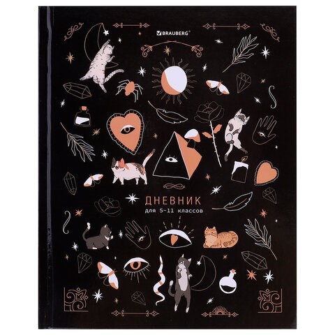 Дневник 5-11 класс 48 л., твердый, BRAUBERG, глянцевая ламинация, с подсказом, "Astro cats", 106868 106868