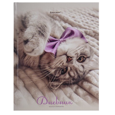 Дневник 5-11 класс 48 л., твердый, BRAUBERG, глянцевая ламинация, с подсказом, "Котик", 107188 107188