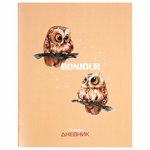 Дневник 1-11 класс 40 л., на скобе, ПИФАГОР, обложка картон, "Совушки", 106814 106814