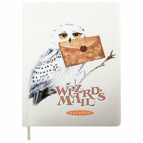 Дневник 1-11 класс 48 л., кожзам (твердая с поролоном), печать, цветной блок, BRAUBERG, "Сова", 106952 106952