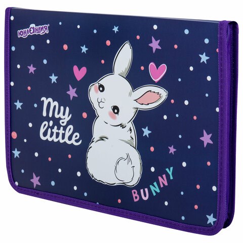 Папка для труда на молнии ЮНЛАНДИЯ А4, 1 отделение, откидная планка, органайзер, "Fluffy tail", 272220 272220