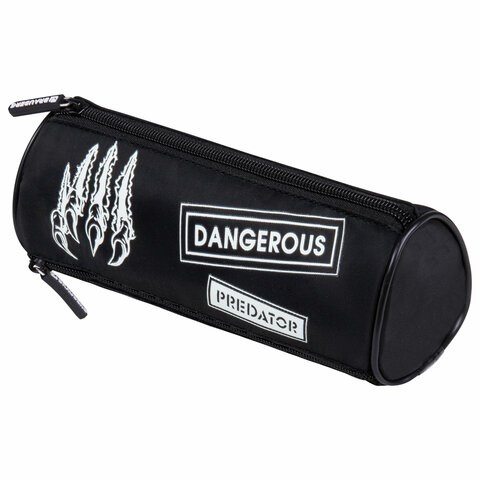 Пенал BRAUBERG, 3 отделения, нейлон, 21х7х7 см, "Claws", 272307 272307