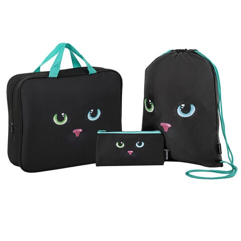 Папка на молнии с ручками А4, мешок для обуви 42х33 см, пенал 20х10 см, "Black cat" НАБОР BRAUBERG, 271434 271434