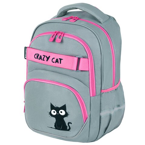Рюкзак BRAUBERG MOTION, 2 отделения, 3 кармана, "Crazy cat", 41х28х17 см, 273115 273115