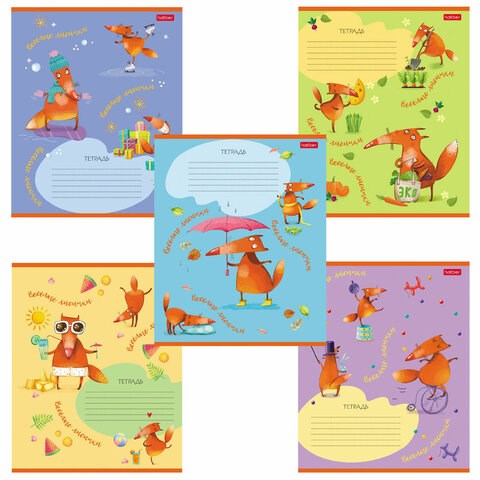 Тетрадь 18 л. HATBER клетка, обложка картон, "Fox Rules" (5 видов в спайке), 18Т5В1 106543