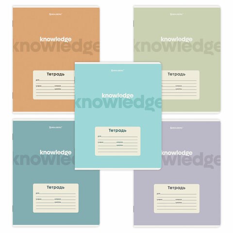 Тетрадь 24 л. BRAUBERG клетка, обложка картон, KNOWLEDGE, 107305 107305