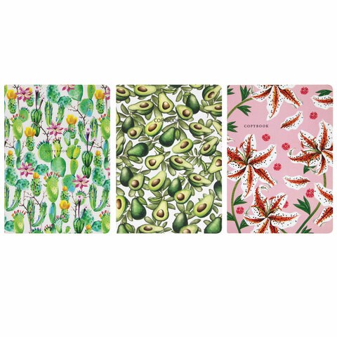 Тетради 40 л. в линию обложка SoftTouch, НАБОР 3 шт., бежевая бумага 70 г/м2, сшивка, А5 (147х210 мм), FLORA, BRAUBERG, 403798 403798