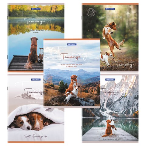 Тетрадь А5 48 л. BRAUBERG скоба, клетка, обложка картон, "Best Friends" (микс в спайке), 404360 404360