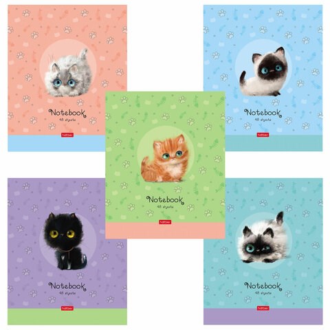 Тетрадь А5 48 л. HATBER скоба, клетка, обложка картон, "Кошарики" (микс в спайке), 075302, 48Т5В1 404481