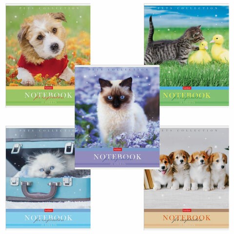 Тетрадь А5 48 л. HATBER скоба, клетка, обложка картон, "Усы, лапы, хвост" (5 видов в спайке), 48Т5В1 404482