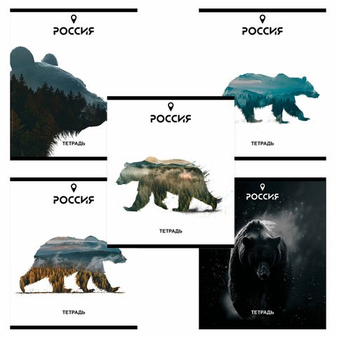 Тетрадь А5 48 л. ПЗБМ, скоба, клетка, Soft Touch, брайль, "Место Силы" (микс в спайке), 23294 405349