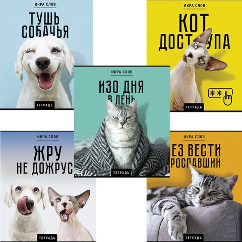 Тетрадь А5 48 л., ПЗБМ, скоба, клетка, конгрев, TWIN-лак, "Икра слов", (5 видов), 27377 405009