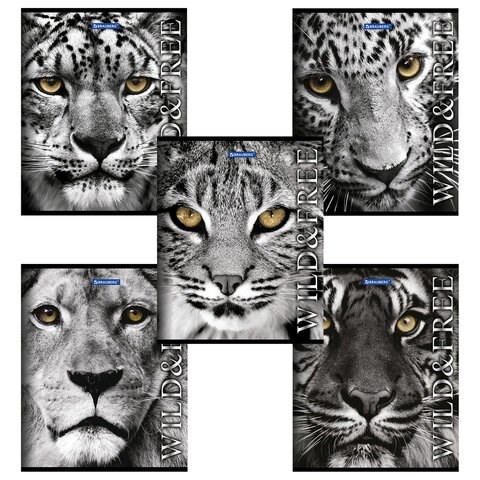 Тетрадь А5, 48 л., BRAUBERG скоба, клетка, обложка картон, ДИКИЕ И СВОБОДНЫЕ, 401810 401810