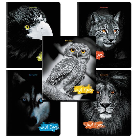 Тетрадь А5, 48 л., BRAUBERG, скоба, клетка, выборочный лак, "Wild eyes" (микс в спайке), 404343 404343