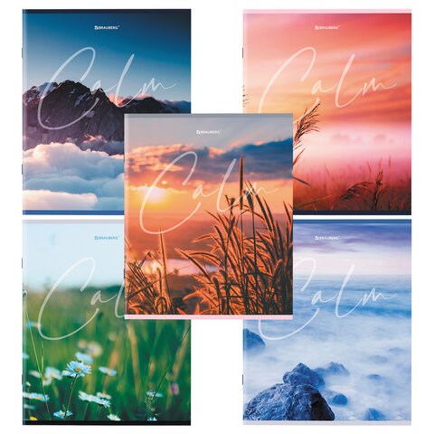 Тетрадь А5 96 л. BRAUBERG скоба, клетка, обложка картон, "Calm" (микс в спайке), 404435 404435