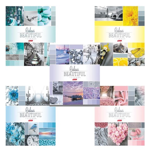 Тетрадь А5, 96 л., HATBER, скоба, клетка, обложка картон, "BEAUTIFUL COLOURE" (микс), 046858, 96Т5В1 402919