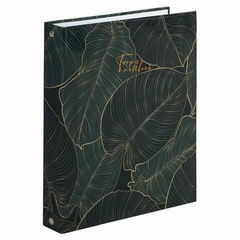 Тетрадь на кольцах А5 (175х215 мм), 240 листов, твердый картон, клетка, с разделителями, BRAUBERG, Листья, 404099 404099