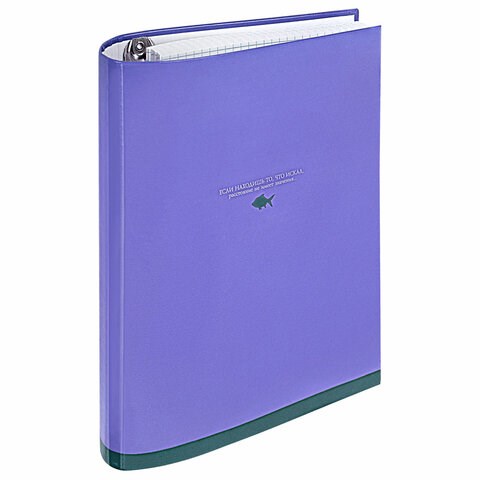 Тетрадь на кольцах А5 175х215 мм, 120 листов, твердый картон, клетка, BRAUBERG, "Monocolor", 404716 404716