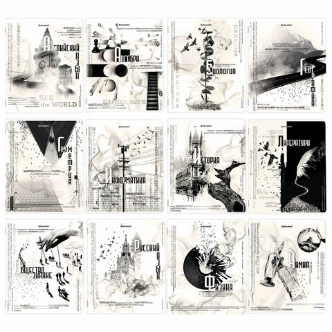 Тетради предметные, КОМПЛЕКТ 12 ПРЕДМЕТОВ, 48 л., матовая ламинация, BRAUBERG, "BLACK&WHITE", 404835 404835