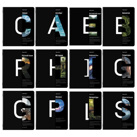 Тетради предметные, КОМПЛЕКТ 12 ПРЕДМЕТОВ, 48 л., матовая ламинация, BRAUBERG, "INTELLIGENCE", 404845 404845