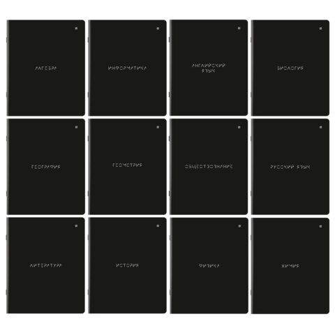 Тетради предметные, КОМПЛЕКТ 12 ПРЕДМЕТОВ, 48 л., матовая ламинация, BRAUBERG, "MINIMAL", 404831 404831