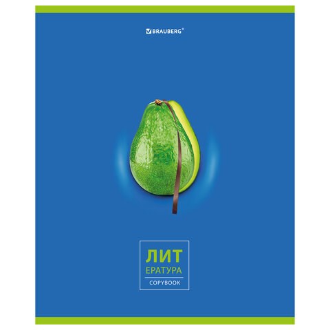 Тетрадь предметная "AVOCADO" 48 л., глянцевый лак, ЛИТЕРАТУРА, линия, подсказ, BRAUBERG, 404281 404281
