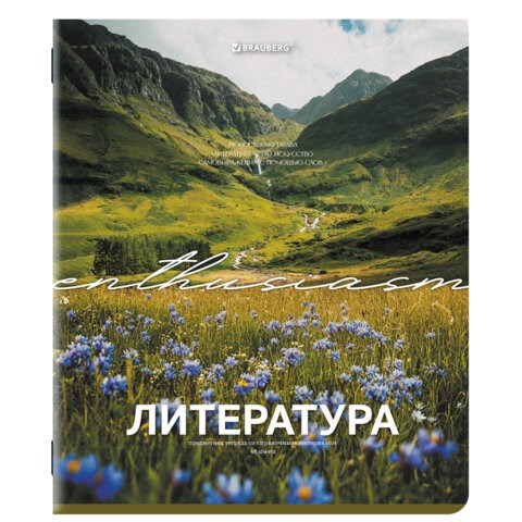 Тетрадь предметная КЛАССИКА ПРИРОДА 48 л., обложка картон, ЛИТЕРАТУРА, линия, подсказ, BRAUBERG, 405090 405090