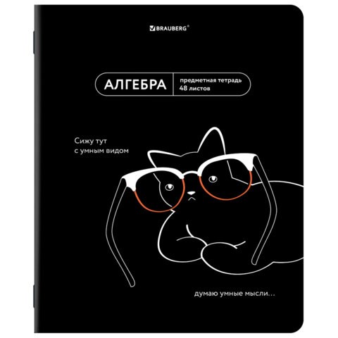 Тетрадь предметная МЕМЫ 48 л., TWIN-лак, АЛГЕБРА, клетка, подсказ, BRAUBERG, 405096 405096