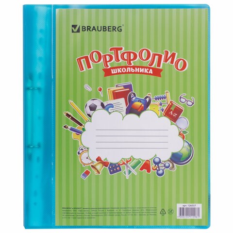 Папка для портфолио школьника, 2 кольца, 20 файлов, пластик, полупрозрачный, синяя, BRAUBERG, 126557 126557