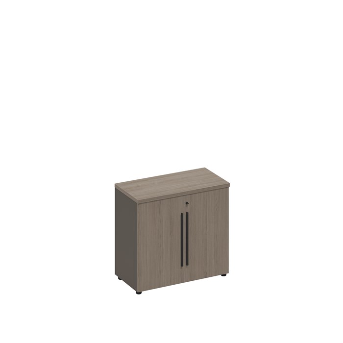 Шкаф для документов низкий закрытый 210202