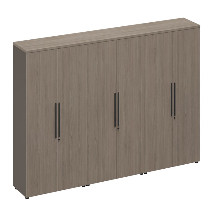 Шкаф комбинированный (закрытый-закрытый-одежда) 210228